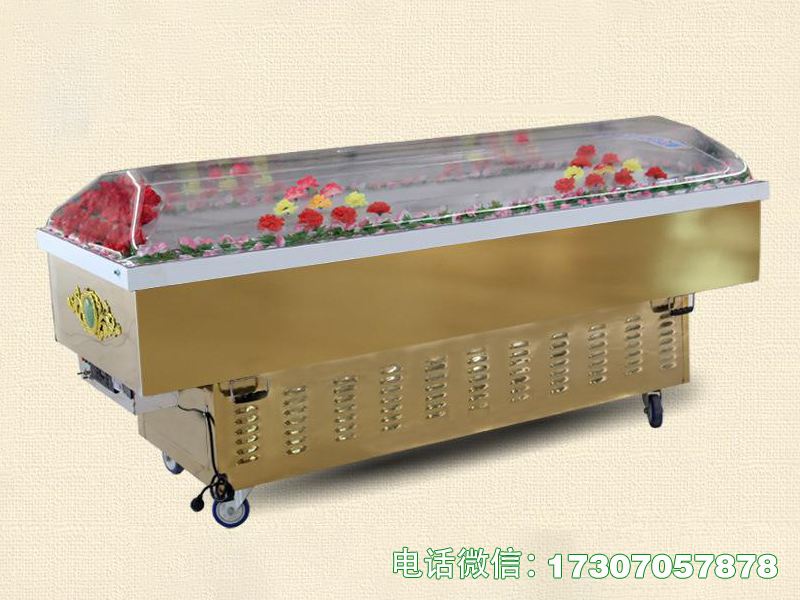 隆林县灵堂冰冻棺