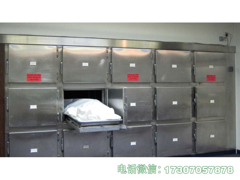 固原尸体冰柜冰箱