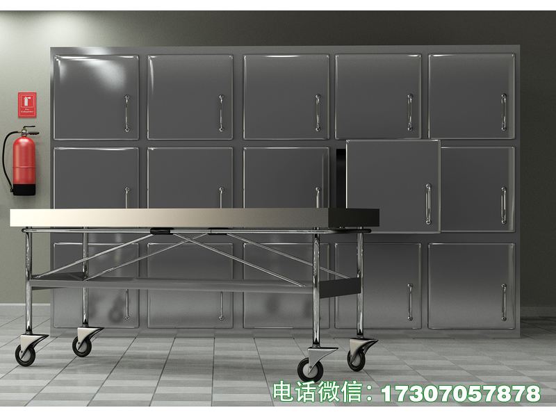 固原死尸冷冻柜